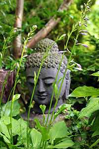 Buddha